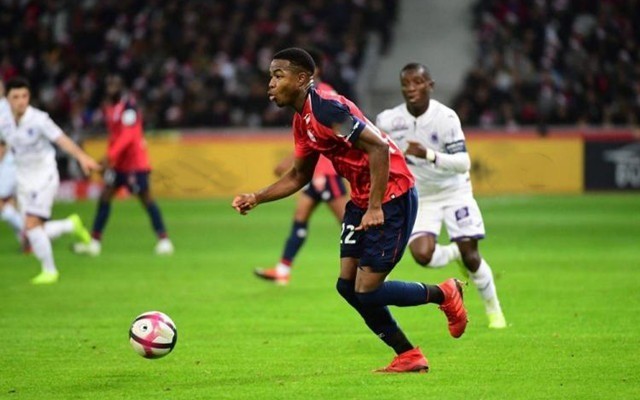 誉数量依旧 誉数量依旧